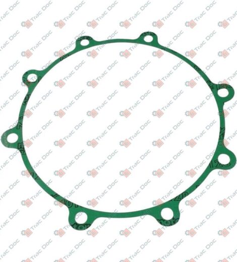 DIFFERENTIAL COVER FLANGE SEAL - GRILLO - 13079