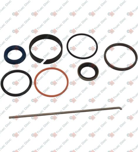 SERIE GUARNIZIONI CILINDRO IDROGUIDA 2 RM - 2 WD - LANDINI - 3540401M91
