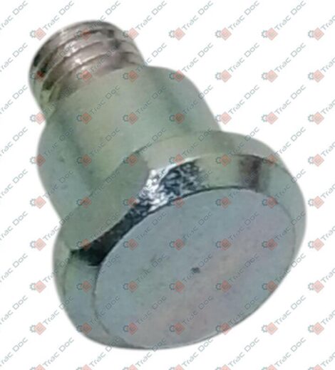REVERSE GEAR LEVER JOINT PIN - LANDINI - 3659603M1
