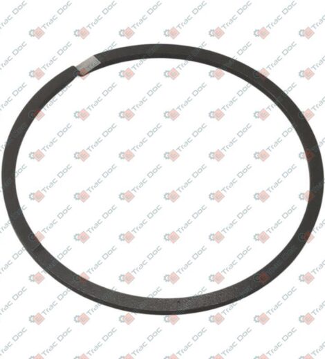 ANELLO ELASTICO DI TENUTA - LANDINI - 3792463M1