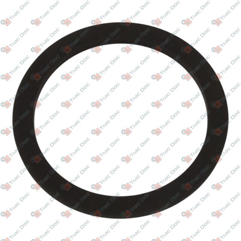 GUARNIZIONE - LANDINI - 6675798A1