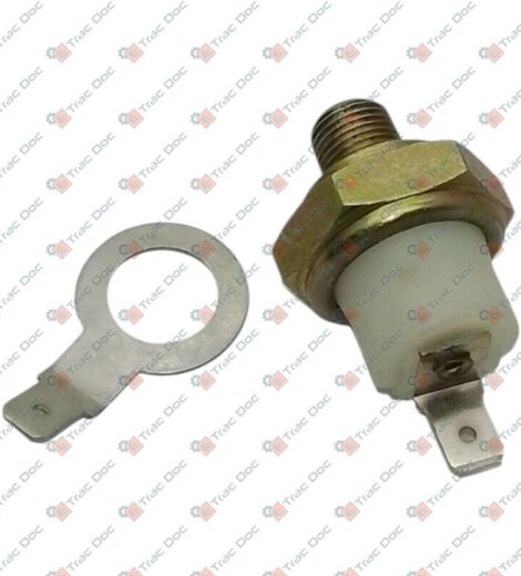 BULBO VALPADANA - LANDINI - VP121424