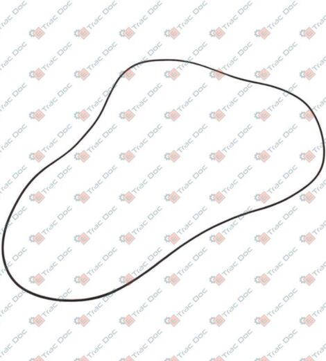 ANELLO OR - Massey Ferguson - 3010029X1