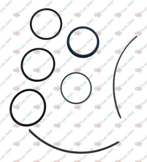 KIT GUARNIZIONI CILINDRO IDRAULICO 3618112M1 - 3618113M1 - Massey Ferguson - 3900427M91