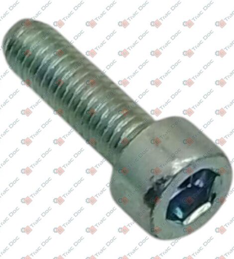 VITE M6x1x20 A BRUCOLA - SAME - LAMBORGHINI - HURLIMANN - DEUTZ FAHR - 2.0312.106.2