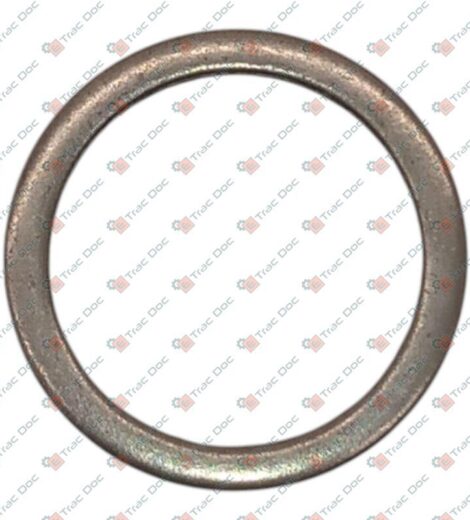 DISTANZIALE 24x30x2 - SAME - LAMBORGHINI - HURLIMANN - DEUTZ FAHR - 2.1599.761.0