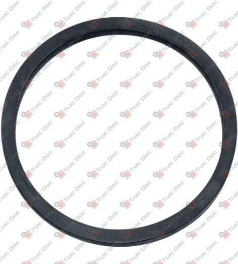 THERMOSTAT GASKET - AFTERMARKET - 49012016F