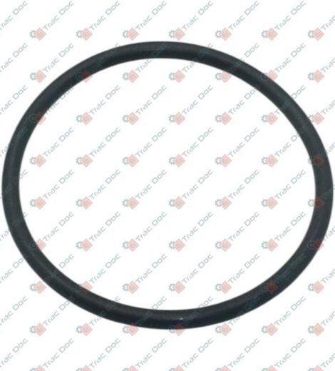 ANELLO OR - CNH Originale - 510121