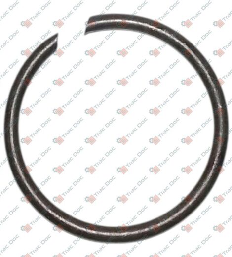 ELASTIC RING A25 UNI7433 - GOLDONI - 00018632