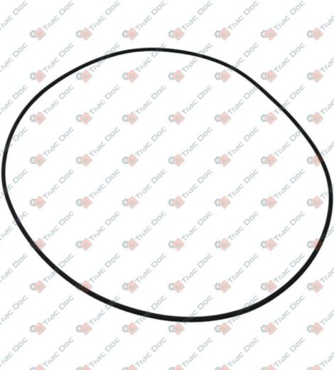 GUARNIZIONE ESTERNA FRENO - LANDINI - 191300A1