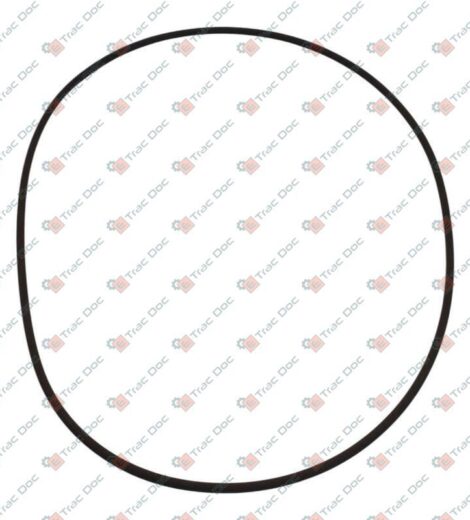 INTERNAL BRAKE GASKET 1/8 "x 8" 1/4 - LANDINI - 238-8267