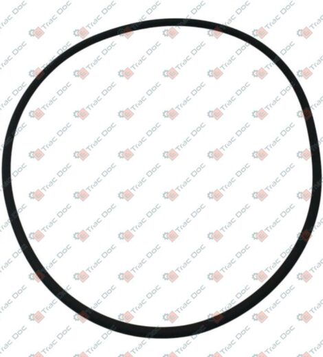 INTERNAL BRAKE GASKET 3/16 "x 7" 1/2 - LANDINI - 238-8367