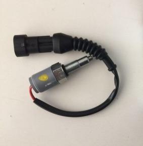 PARK LOCK SWITCH - LANDINI - 3692204M91