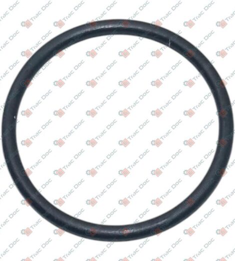 ANELLO OR SPECIALE GRUPPO ELETTROVALVOLE - LANDINI - 708922A1