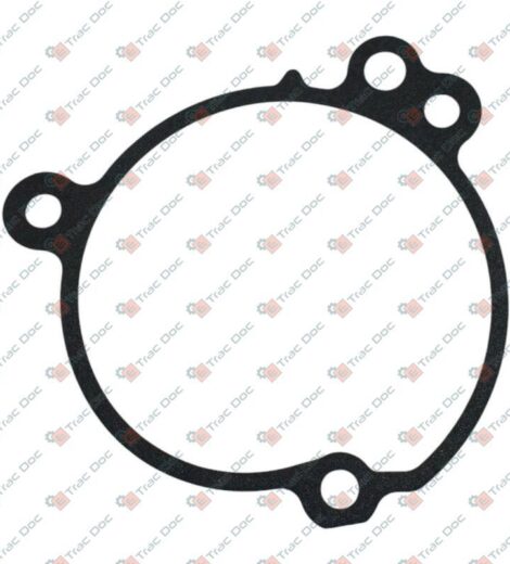 WATER PUMP GASKET - LOMBARDINI - KOHLER - 4580246