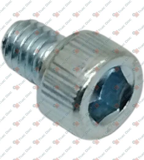 VITE - LOMBARDINI - KOHLER - 9730309