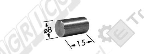 SPINA DI SICUREZZA DIAMETRO 8x15 mm. TIPO ROTEX BCS 57132934 - L'AGRICOLA RICAMBI - 74517-D