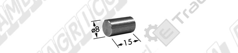 SPINA DI SICUREZZA DIAMETRO 8x15 mm. TIPO ROTEX BCS 57132934 - L'AGRICOLA RICAMBI - 74517-D