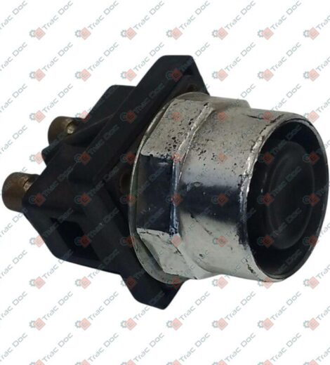 PULSANTE AVVIAMENTO VECCHIO TIPO - BCS - F0825113000