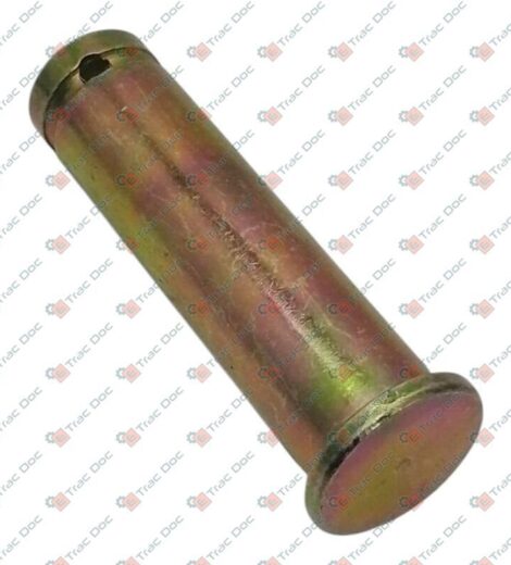 PERNO DIAMETRO 19 mm. - BCS - F0835768000