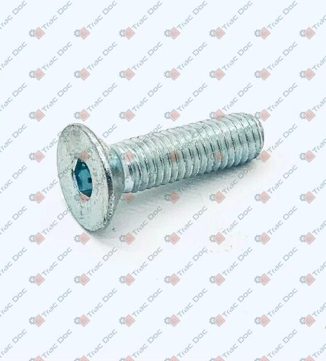 M8x1.25 SCREW L=25 CONICAL HEAD IN STEEL R=10.9 - CERMAG - 64749