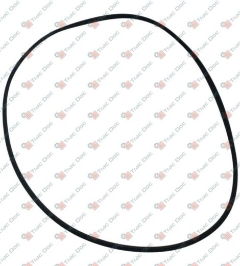 REAR GEARBOX SEAL RING - Fendt - 3759196M1