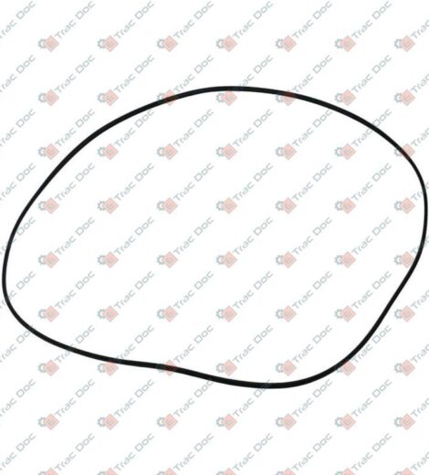 ANELLO DI TENUTA - Fendt - 4301296M3