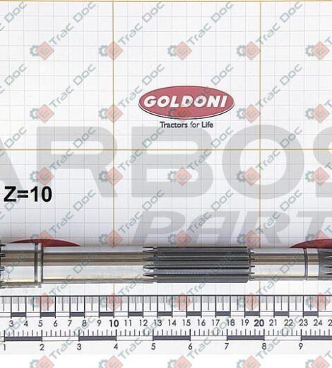 PIGNONE CONICO A 10 DENTI - GOLDONI - 00005709