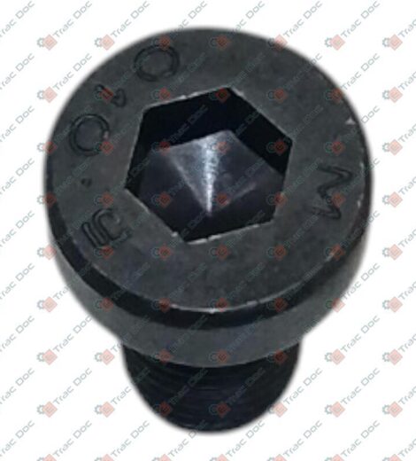 VITE M10x1,5 L=20 mm. UNI 5931 - GOLDONI - 06130164