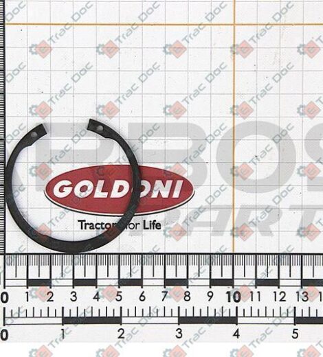SEEGER 55X2 I 74 - GOLDONI - 06240036