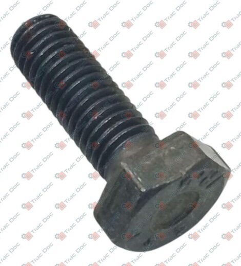 M10x1.5x30 STEEL SCREW - LANDINI - 3551005M1