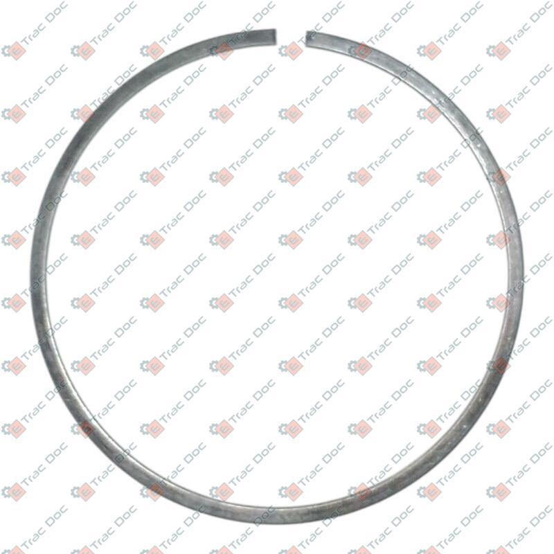 ANELLO ELASTICO - LANDINI - 4220721X1