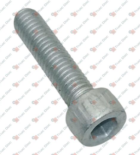 VITE M6x1x25 A BRUCOLA UNI 5931 - LOMBARDINI - KOHLER - 9730013