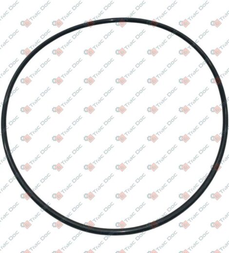 SPECIAL O-RING FOR CYLINDER SEALING 1000W SERIES MOTOR - AFTERMARKET - 2.1539.259.0