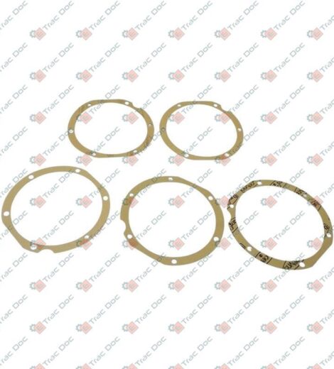 WHEEL HUB TELESCOPE SEAL IN A PACK OF 5 - ANTONIO CARRARO - 5242002