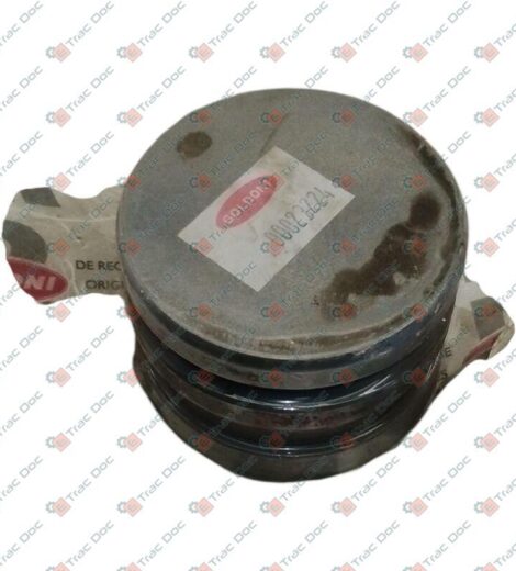 LIFTING PISTON - GOLDONI - 00023224