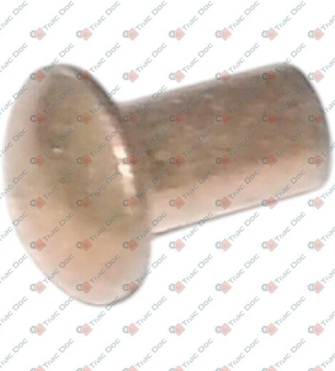 TT D 4X10 ACC 7 RIVET - GOLDONI - 06190023