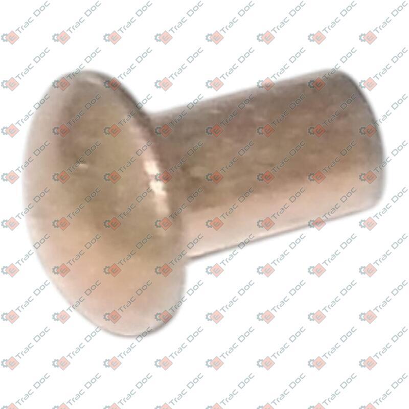 TT D 4X10 ACC 7 RIVET - GOLDONI - 06190023