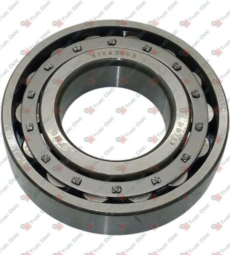 CUSCINETTO A RULLI PIGNONE - KUHN - 81043563