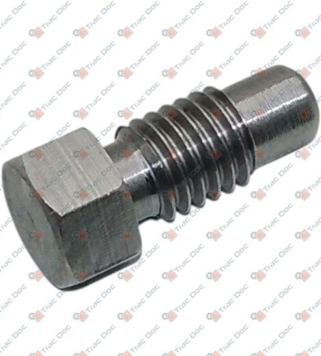 VITE 5/16"-18 UNC L=17 mm - LANDINI - 3389405M1