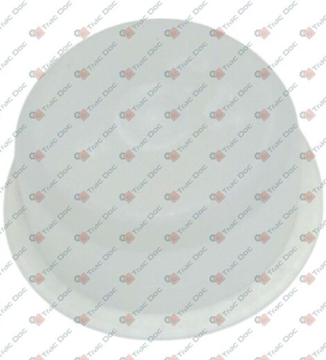 PLASTIC CAP DIAMETER 12.5 mm. - LANDINI - 393850X1