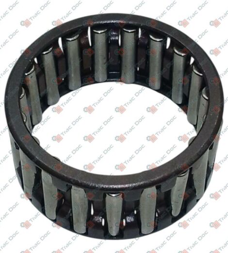ROLLER CAGE - LANDINI - 4203667M1
