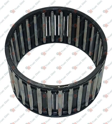 PRIMARY SHAFT ROLLER CAGE - LANDINI - 4203671M1