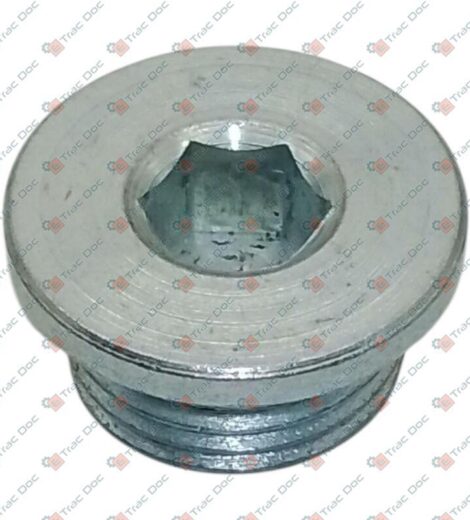 1/2 "GAS THREAD CAP = 21 mm. WITH SOCKET HEX - AFTERMARKET - 00050603487