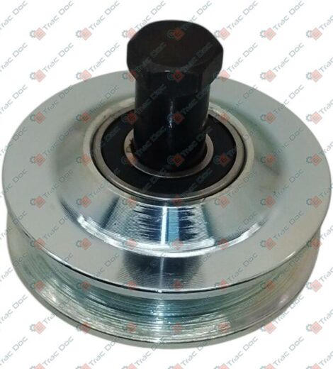 PULEGGIA TENDICINGHIA COMPLETA - AFTERMARKET - 00046480