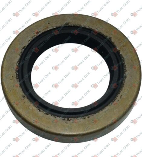 PARAOLIO 38x62x10 - CNH Originale - 588693
