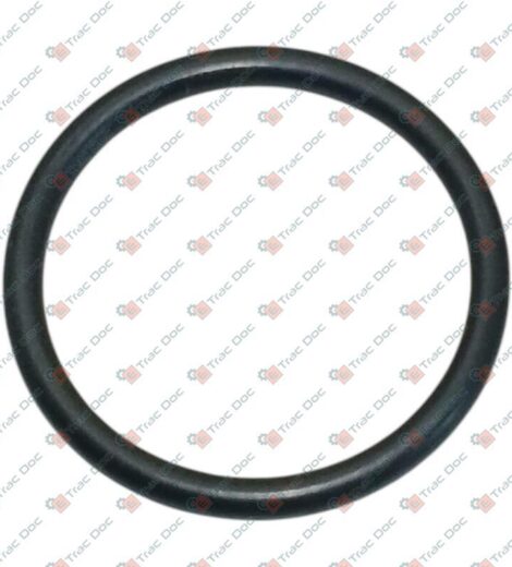 ANELLO OR - Fendt - X548868966000