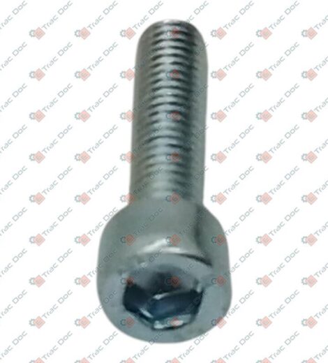 VITE M6x25 TCEI A BRUCOLA UNI 5931 - GOLDONI - 06130009