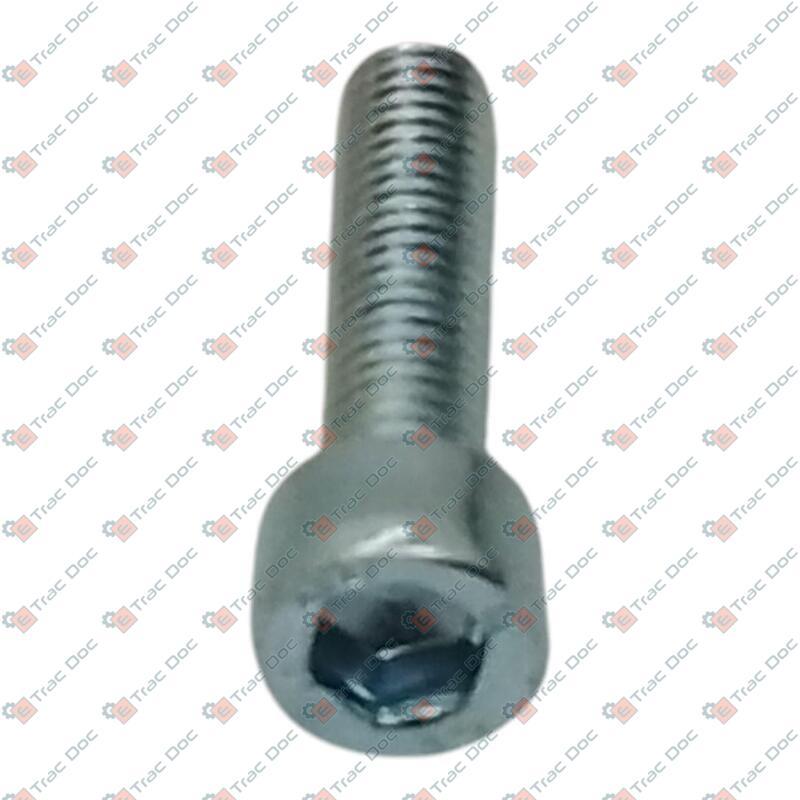 VITE M6x25 TCEI A BRUCOLA UNI 5931 - GOLDONI - 06130009