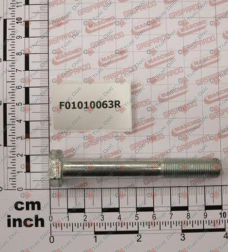 VITE M12x1,25x90 - GASPARDO - F01010063R